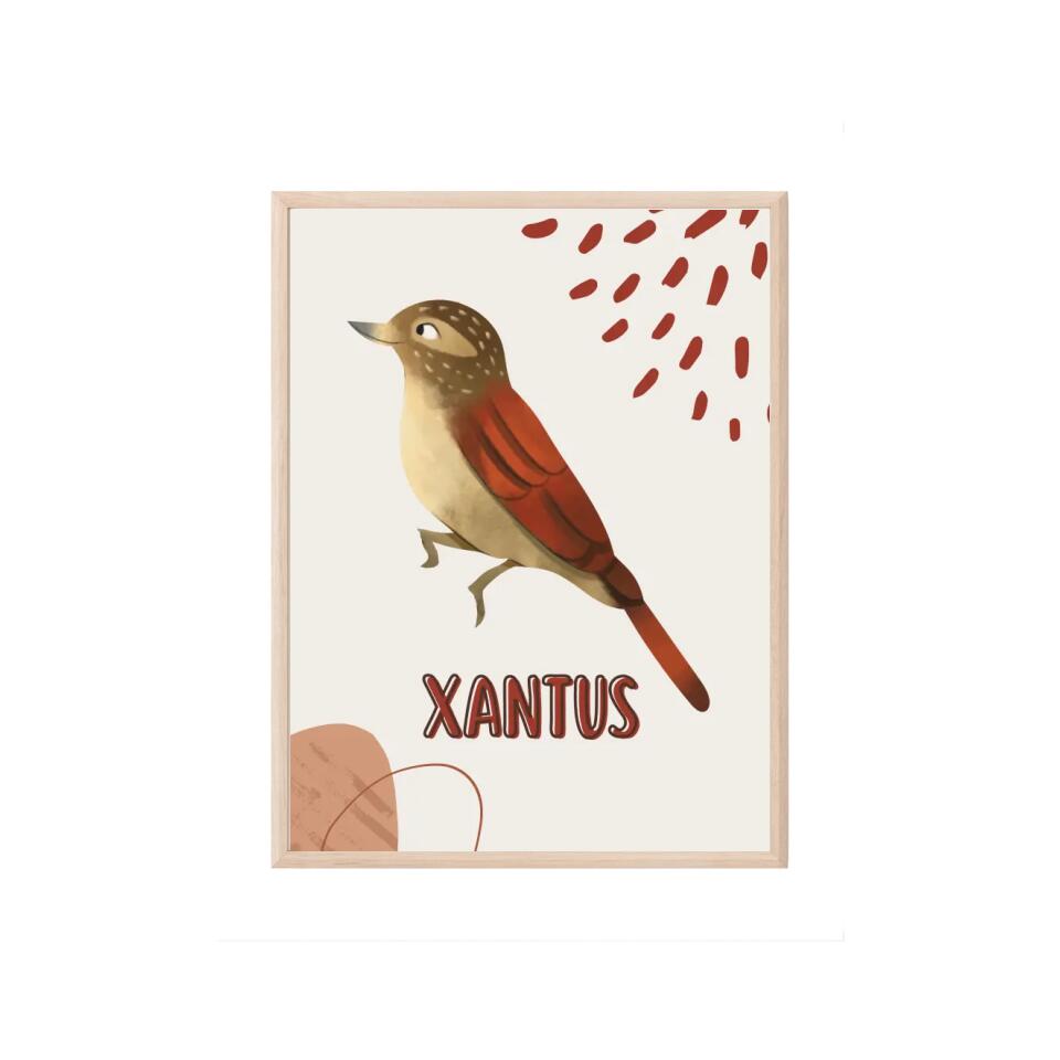 Xantus Vogel Tierposter